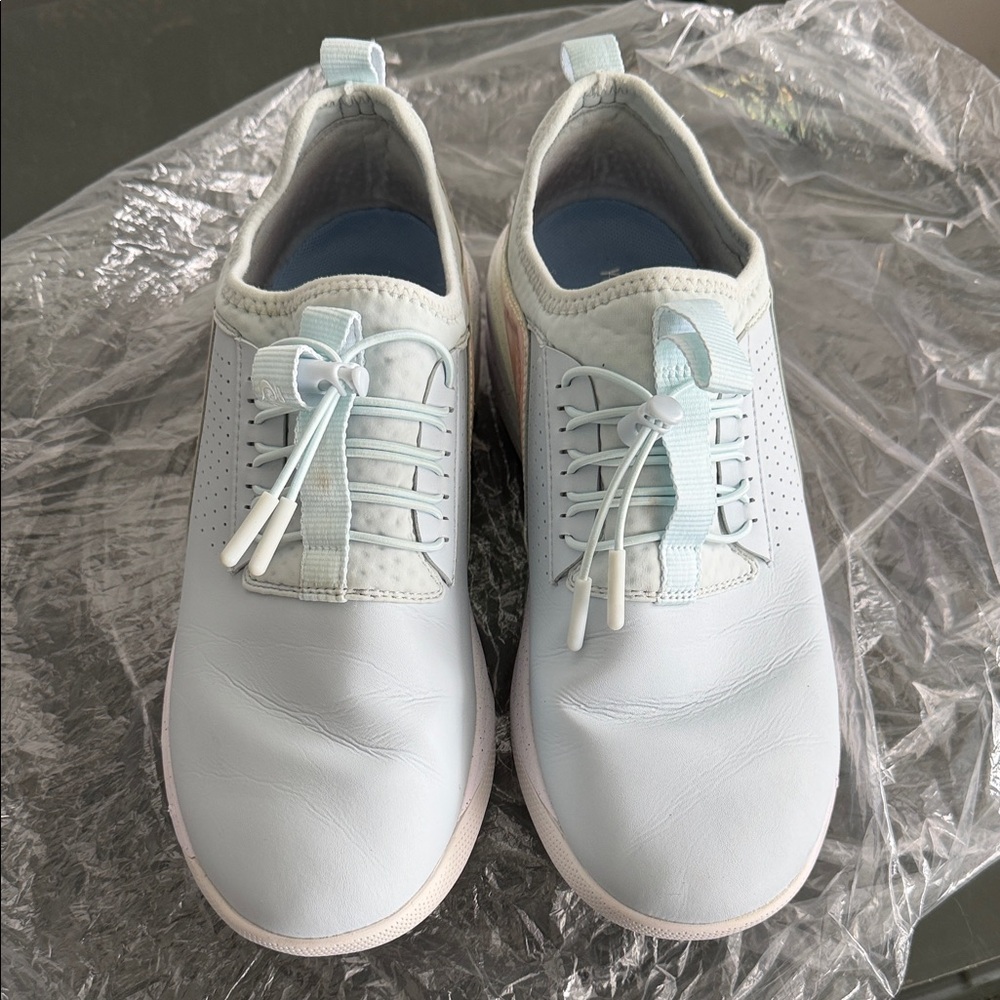 Limited Edition Holographic Clove Classic Sneaker